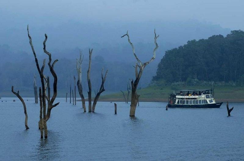 Thekkady Woods Hotel Exterior photo