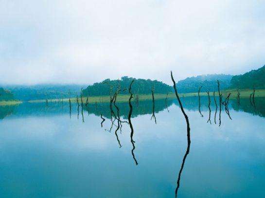 Thekkady Woods Hotel Exterior photo